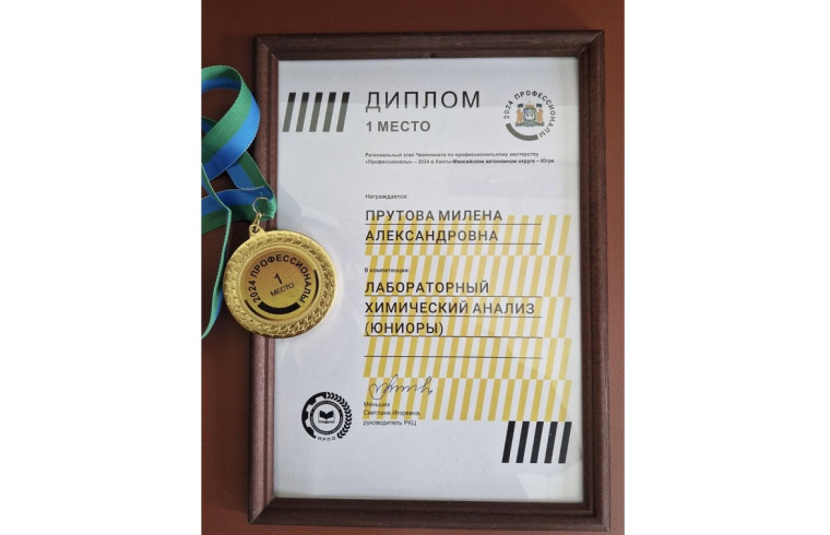 Учащиеся гимназии имени Ф.К. Салманова завоевали призовые места в региональном этапе чемпионата «Профессионалы».